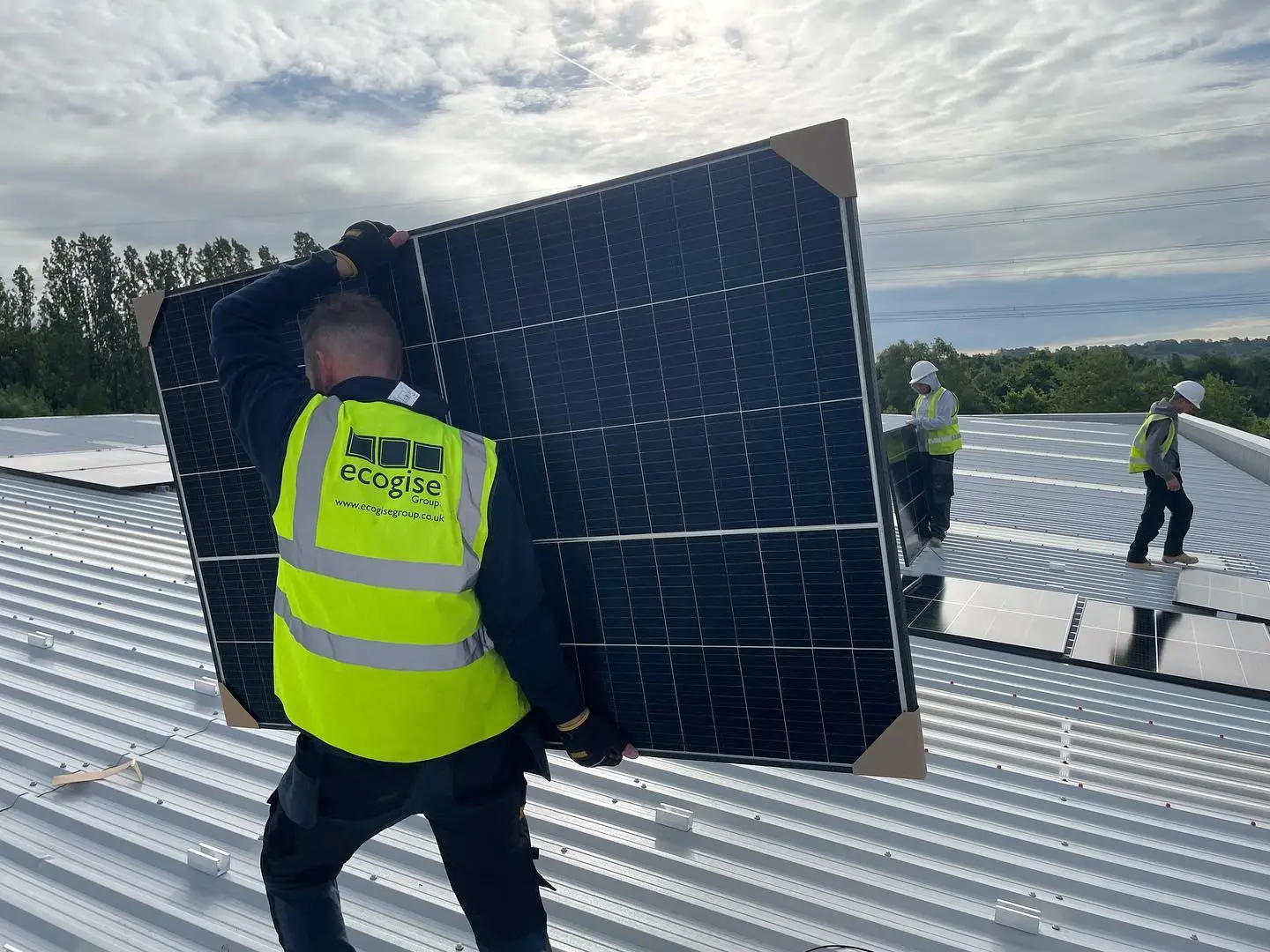 The Ecogise Group Of Companies